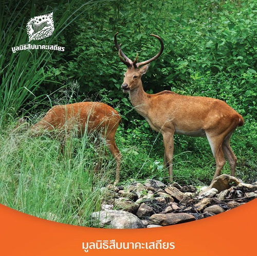 สร้างสังคมไทยให้น่าอยู่ รู้จักกับ 10 มูลนิธิสำคัญของไทย