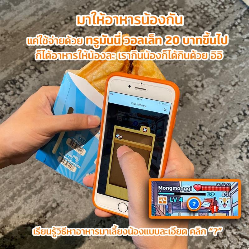 a1-Digipet-Truemoney-howtoplay-feed-800×800