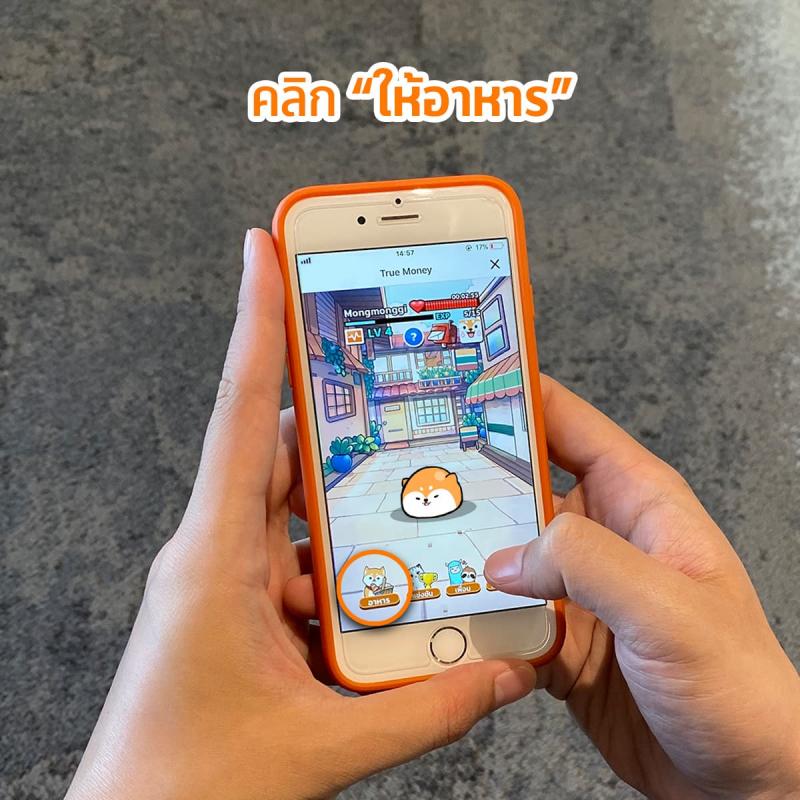 a2-Digipet-Truemoney-howtoplay-food-800×800