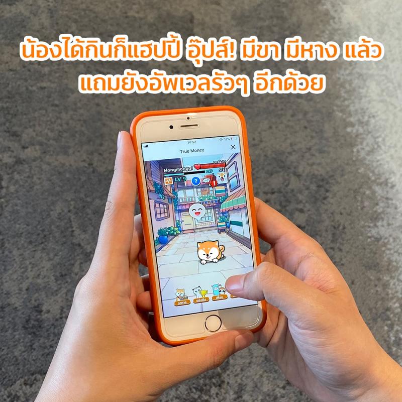 a3-Digipet-Truemoney-howtoplay-uplevel-800×800