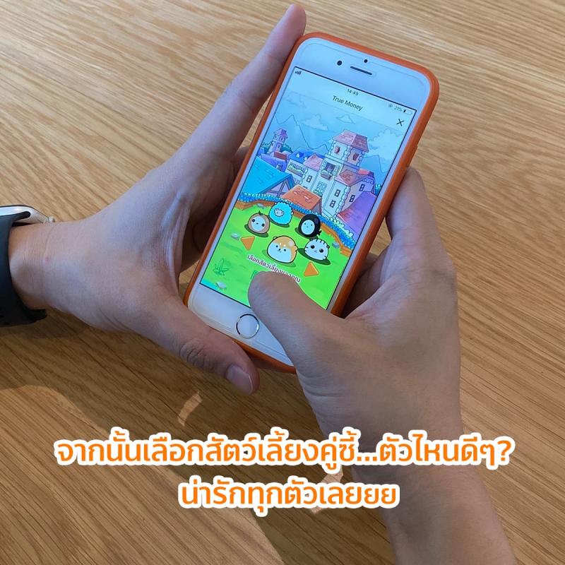 4-Digipet-Truemoney-howtoplay-pet-800×800