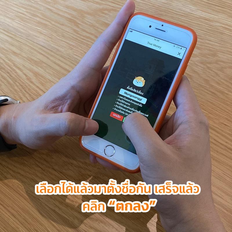 5-Digipet-Truemoney-howtoplay-name-2019-800×800