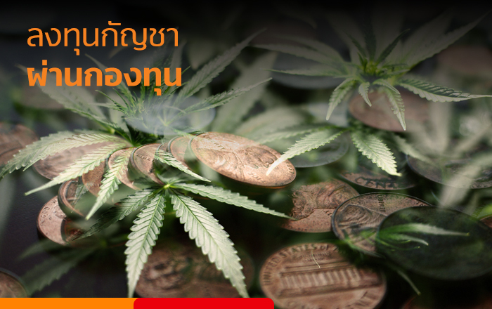 ซื้อกองทุน กับ ทรูมันนี่ วอลเล็ท
