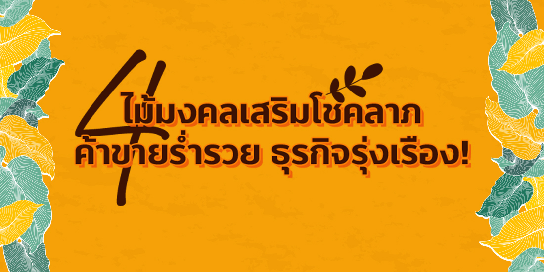 พ่อค้าแม่ขาย ปลูกไม้มงคล ช่วยเสริมดวง เสริมโชคลาภ
