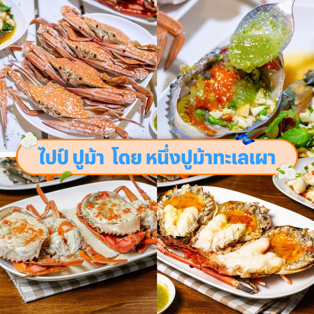 ไปป์ ปูม้า โดย หนึ่งปูม้าทะเลเผา