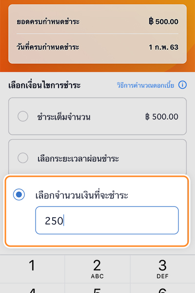 paynext-extra-credit-howto-repay-amount-20240511-2