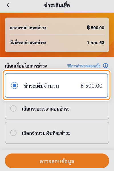 paynext-extra-credit-howto-repay-full-20240511-2
