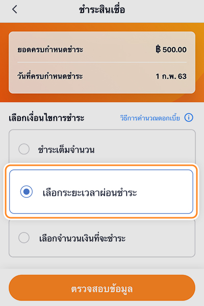 paynext-extra-credit-howto-repay-installmentperiod-20240511-2