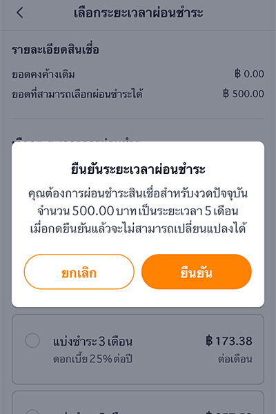 paynext-extra-credit-howto-repay-installmentperiod-20240511-4