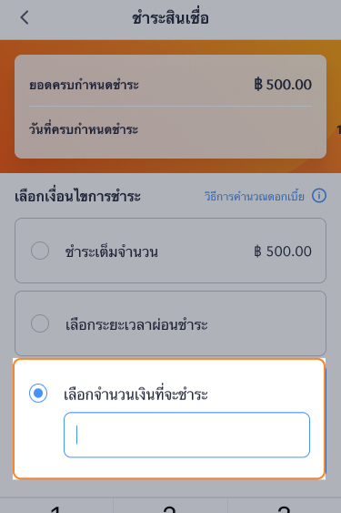 paynext-extra-credit-howto-amount-pay-20240626-02