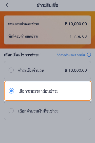 paynext-extra-credit-howto-installmentperiod-20240626-02a