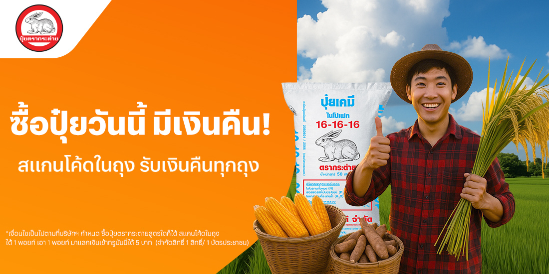ปุ๋ยตรากระต่ายปุ๋ยตรากระต่าย หว่านสุข ลุ้นโชค1 มิ.ย. 68 – 31 ธ.ค. 68 โปรโมชันทรูมันนี่
