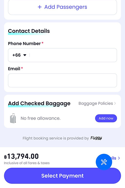 cross-border-payment-howto-flight-20251008-6