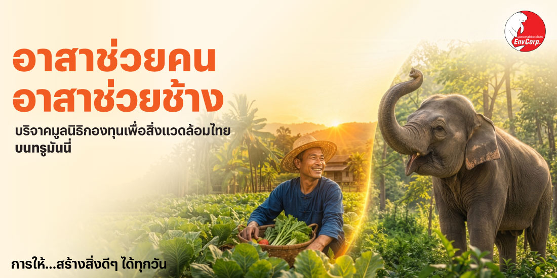 โปรโมชันทรูมันนี่